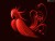 Eve